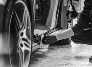 Damages that Rodents and Other Pests Can Do to Cars