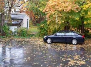 How To Remove Tree Sap From Your Vehicle