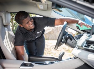 Simple Tips for Removing Pesky Car Odors