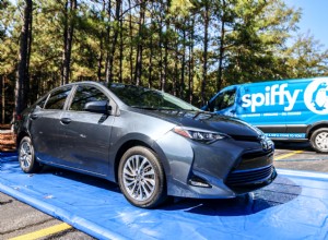 BOO! Its Artillery Fungus!