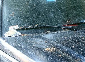 Avoid These Common Causes of Damage to Your Cars Paint