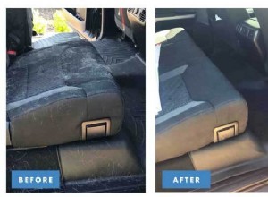 How to Remove Pet Hair from Your Car