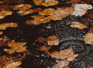 Prep Your Vehicle For The Fall Weather