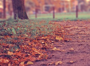 Fall Care Care Checklist