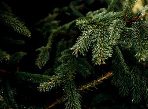 Stay safe this December with your holiday driving