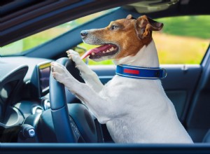 4 Things to Look Out for When Traveling this Holiday Season