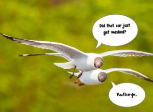 7 Little Things That Can Do Big Damage to Your Cars Paint