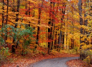 Three DIY Fall Car Care Tasks That You Can Do Yourself