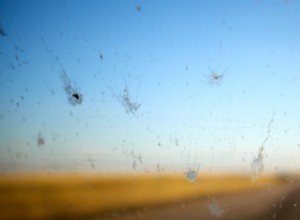 How To Remove Bug Residue From Your Vehicle and Windows