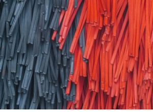 Everything You Need to Know About an Automatic Car Washes