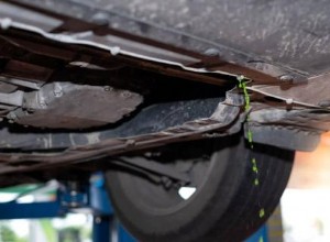 The Elixirs of Life Belong In Your Car