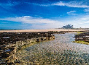 The Top Day-Out Travel Destinations to Visit with Your Dogs