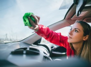Car Germs and How to Kill Them