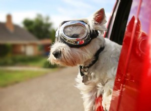 Vehicle Air Conditioning: The FAQs