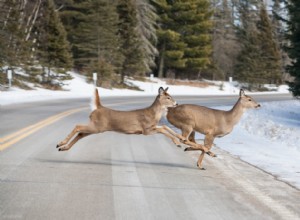 Minnesota Among Safest Driving States For Your Wallet