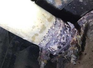 What About Your Cars Exhaust?