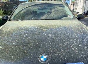 Spring Cleaning … Wash Your Car
