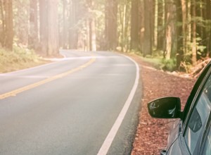 Weve Partnered With One Tree Planted for West Coast Reforestation