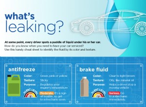 How to Identify a Car Leak [Infographic]