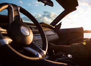 How to Remove Love Bugs from Your Car