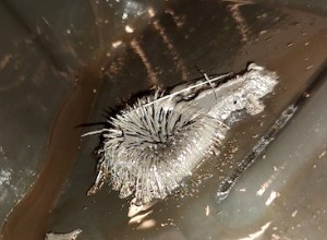 What Is an Automatic Transmission Flush?