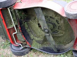 Easy Lawn Mower Maintenance Checklist For Summer Grass Care