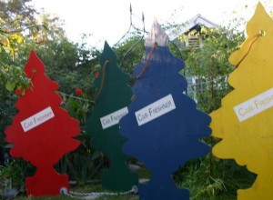 How to Get Rid of Car Odor