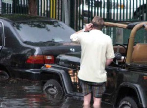 How to Get Rid of Mold in a Car