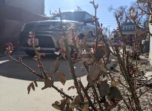 4 Spring Car Maintenance Tips