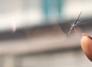 How to Stop A Windshield Crack From Spreading?