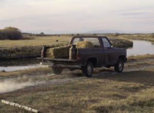 What Kind of Car Matches Your Personality?