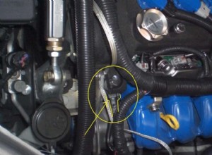 Problems Associated With Scion TC 2006