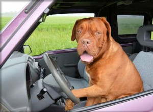 Do I Need a Car Seat Cover?