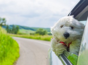 4 Tips for Summer Car Care in Chicago