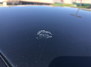 How to Recover the Car Paint Damage from Bird Droppings