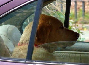 Tips For Using Car AC In Hot Weather More Efficiently