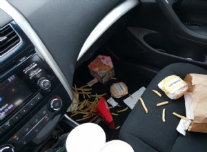 Get Rid of Ants in Car in 5 Simple Steps