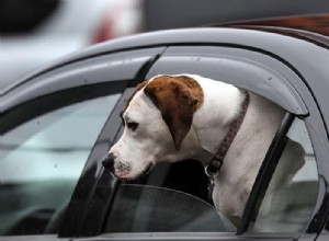 AC ON vs Windows Down: Which Option Is More Efficient?