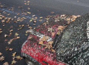 Why Do Birds Poop On Red Cars?