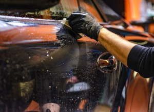 How to Get Skunk Smell Out of Car?