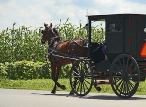 How to Install Air Horn to Your Truck – The Ultimate Guide