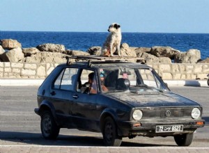 20 Funny and Weird Traffic Laws in the US