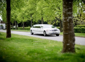 Things to Consider When Hiring a Driver for Your Limousine Service