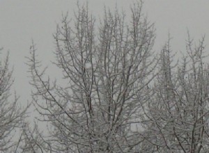 Winter Driving On Rural Highways – 10 Tips To Get You Home Safely