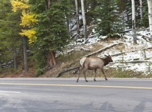 Fall Season Driving Safety Tips