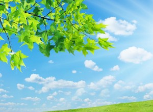 Summer Heat Can Take Its Toll On Your Car Battery