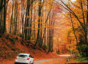 What Are The Dangers Of Driving With Broken Struts