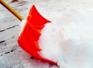 So Much Snow… Nooooo!