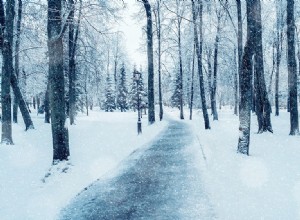 We Buy Winter Damaged Cars! Get the Top Dollars Today!