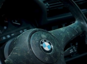 Seek and Destroy: How to Remove Mildew and Mold From a Car